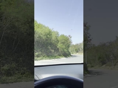 Gummibendbare Rückwäsche Blatt Modische Rückwindschutzscheibenwäsche Ersatz